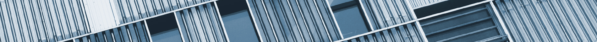 インサイトレポート